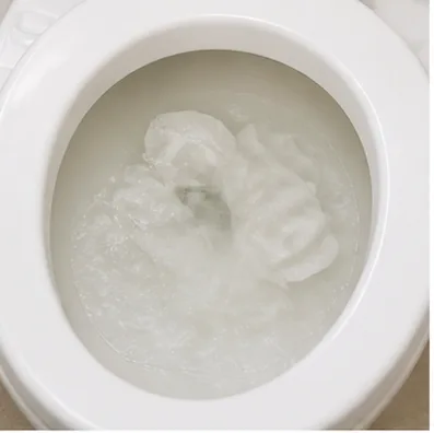 トイレの詰まり